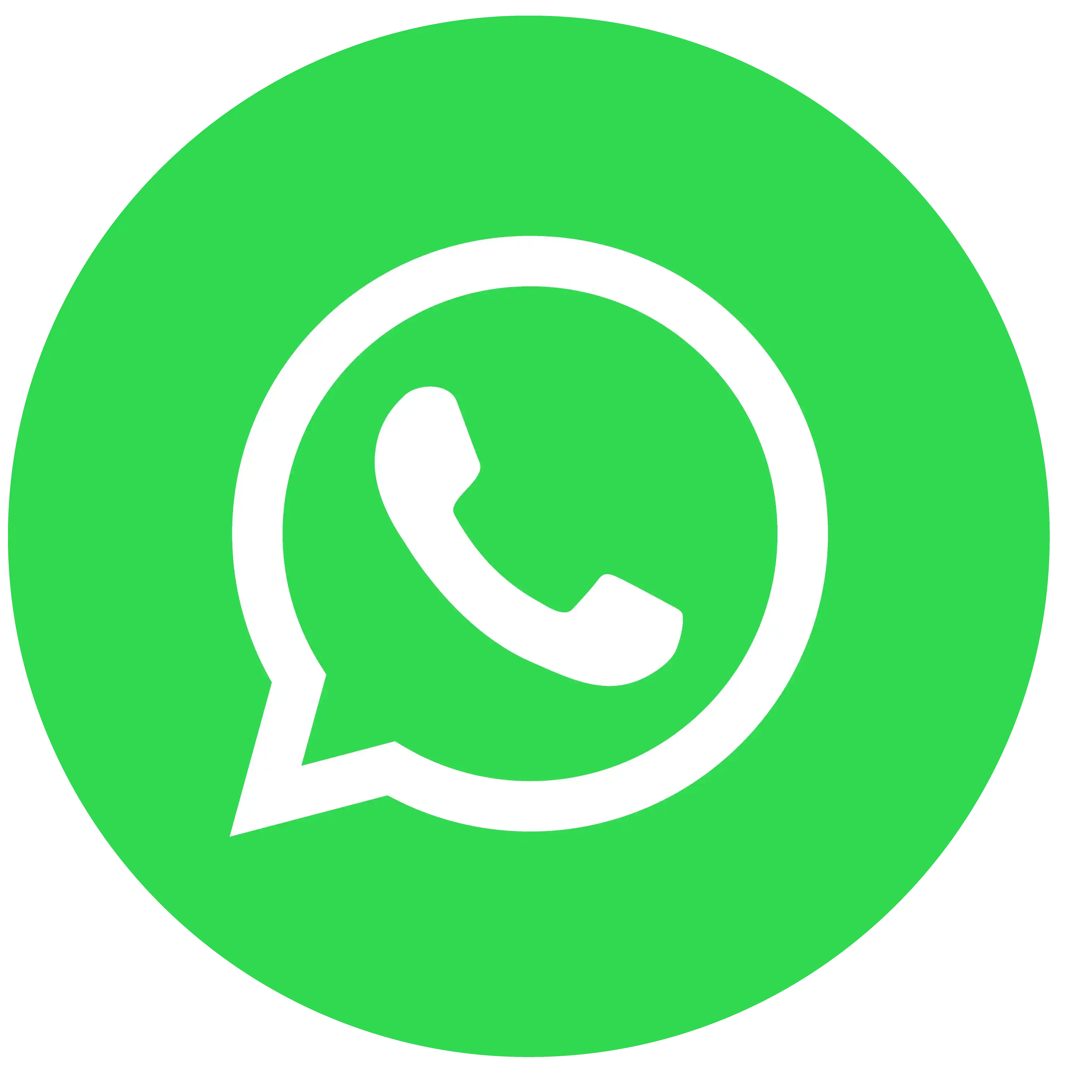 Get a cleaner in Auckland